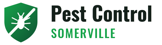 Somerville Pest Control